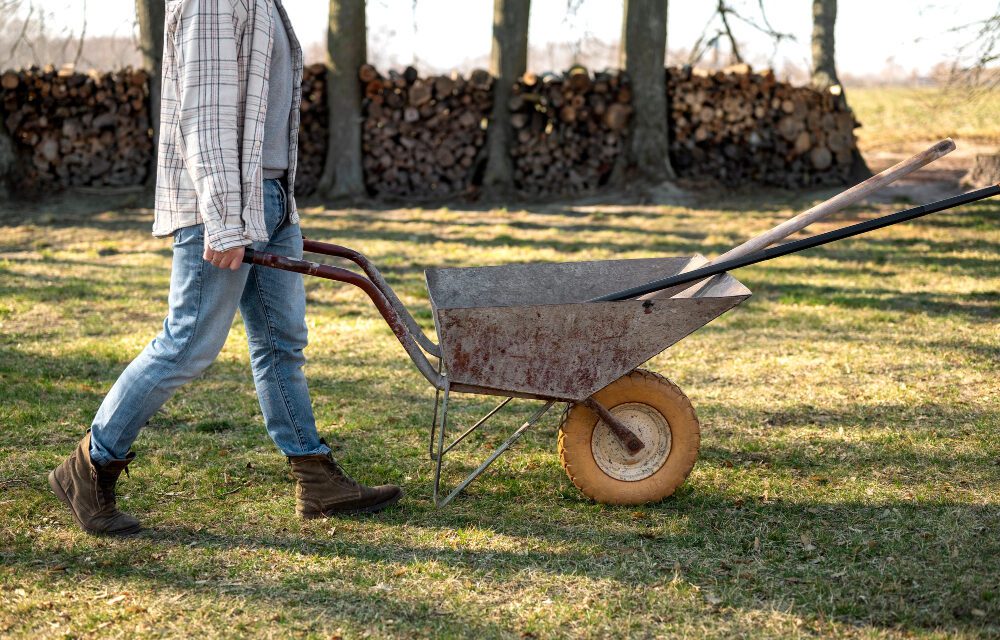 JAVNI POZIV za zasnivanje radnog odnosa na određeno vrijeme na rok od četiri ( 4 ) mjeseca u Programu javnih radova- „Uredimo javni prostor“