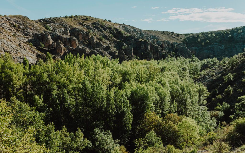 Edukaciju „Ograničenja u gospodarenju šumama na području ekološke mreže“